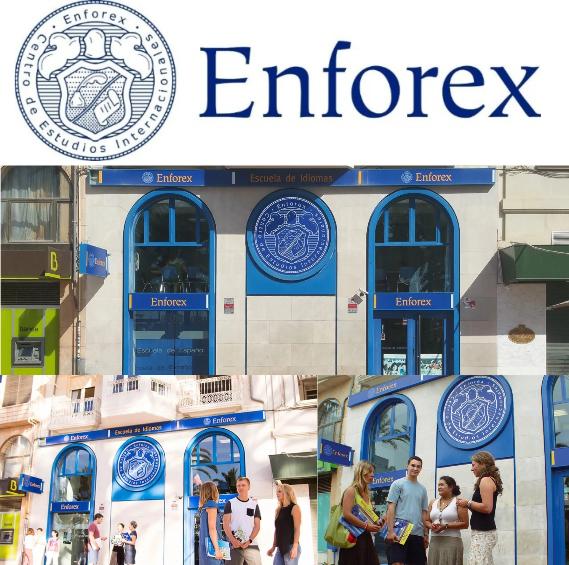 Enforex